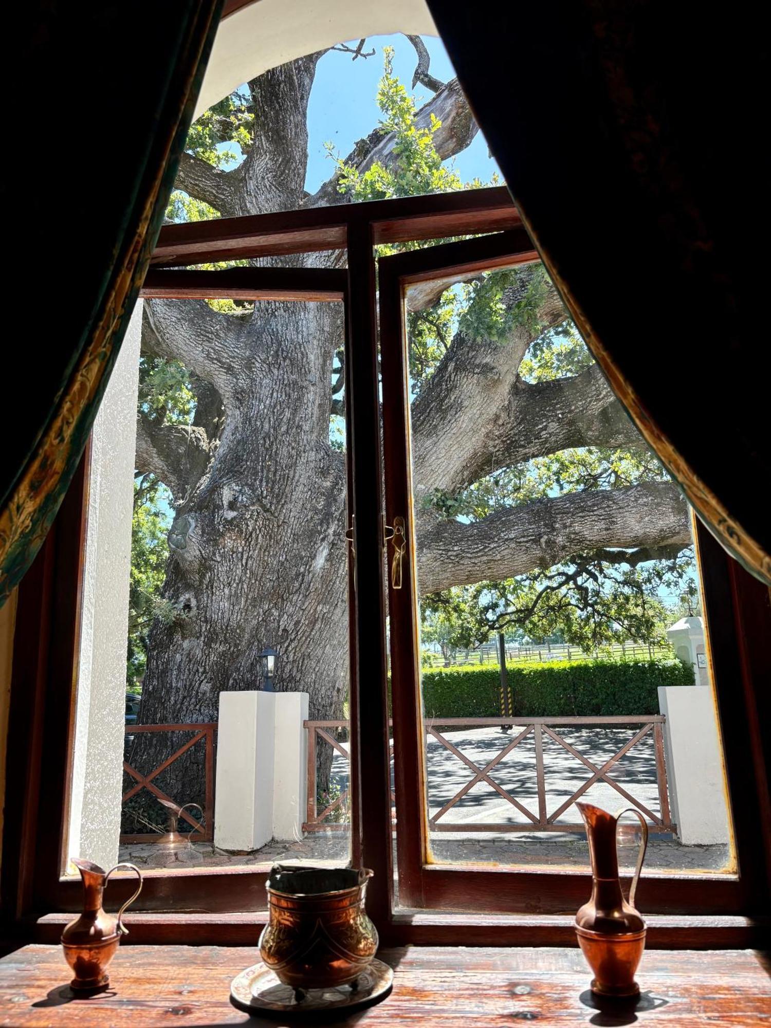 Eight Bells Mountain Inn Ruiterbos Εξωτερικό φωτογραφία